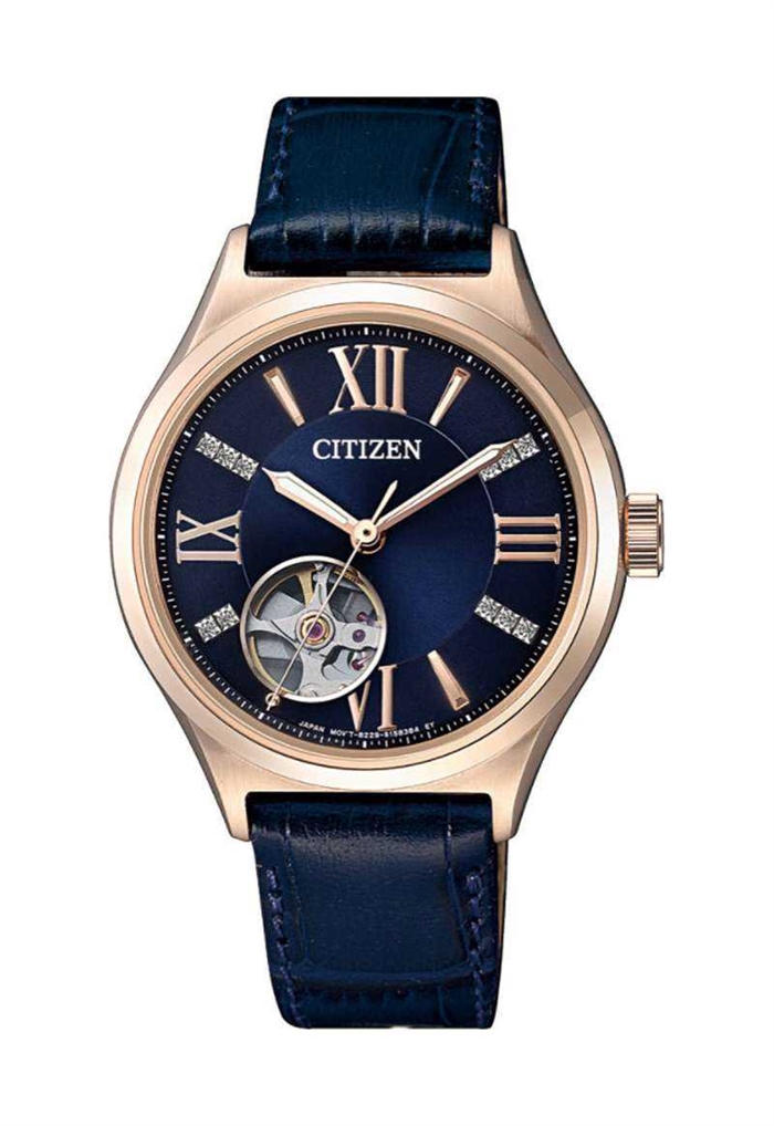 citizen(fc1003